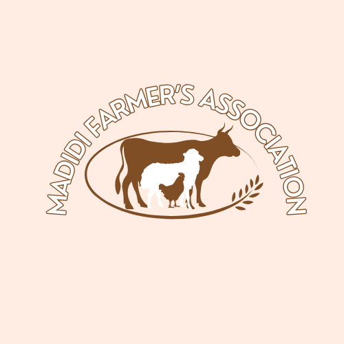 Absal Properties